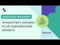 Знакомство с числами и счёт в дошкольном возрасте