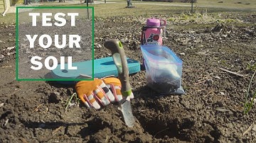 How to test your soil for nutrients: An essential step for success in your garden