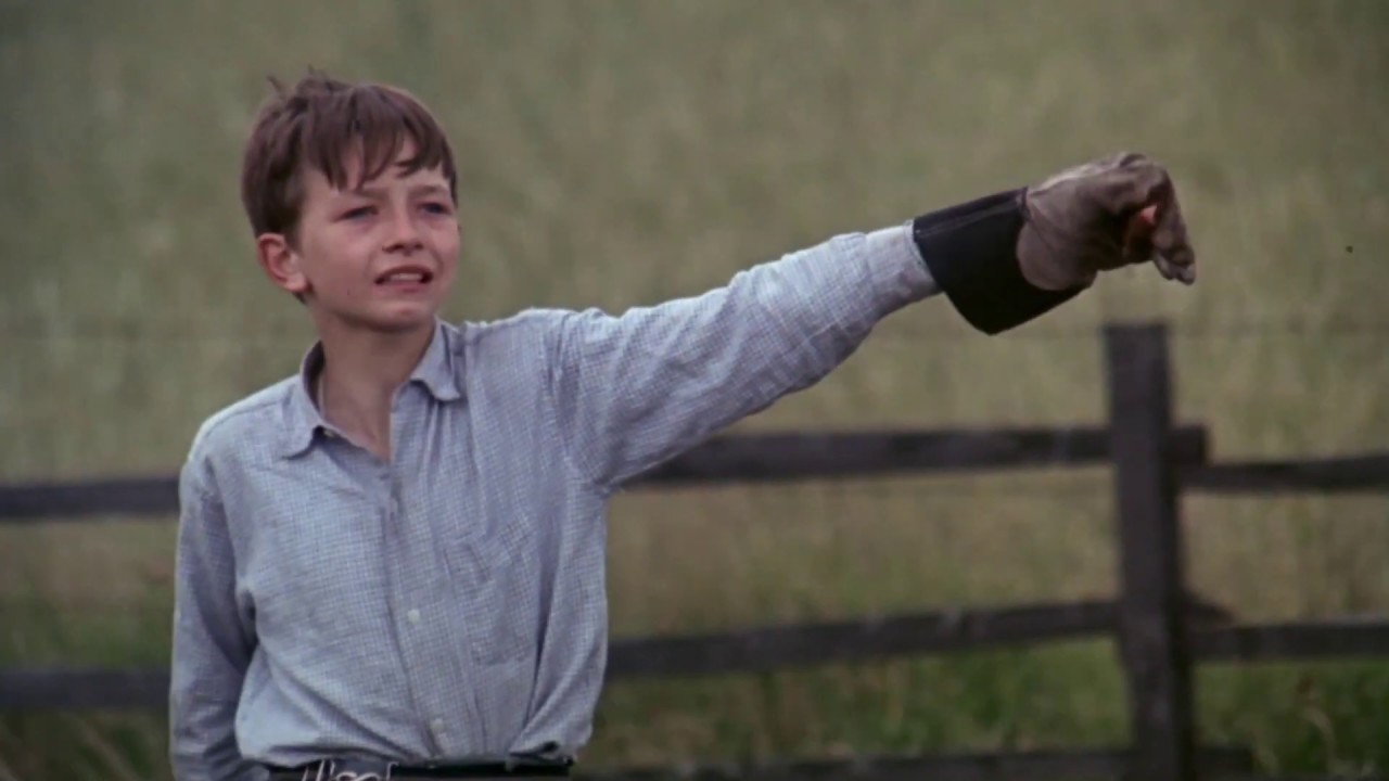 Rum Doodle performing their tribute to the 1969 film Kes