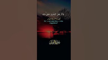 تلاوة القرآن الكريم سورة الفيل🎉✨ #islamicvideo #Qislamicworld63 #دويتو #اكسبلور #Islamiccourse63