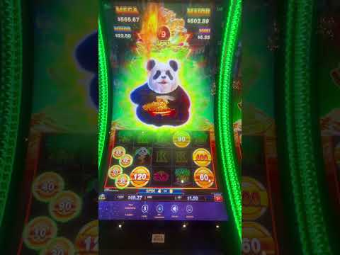 IT REALLY DOES HAPPEN! 20X Multiplier On Macaw Money Slot Machine Delivers A MASSIVE WIN At Casino!