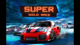 Super Wild Race Slots Teaser by Dragon Gaming screenshot 4