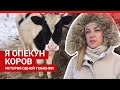 Тюменка стала опекуном коровы и удачно вышла замуж | 72.RU