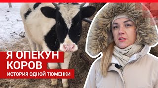 Тюменка стала опекуном коровы и удачно вышла замуж | 72.RU