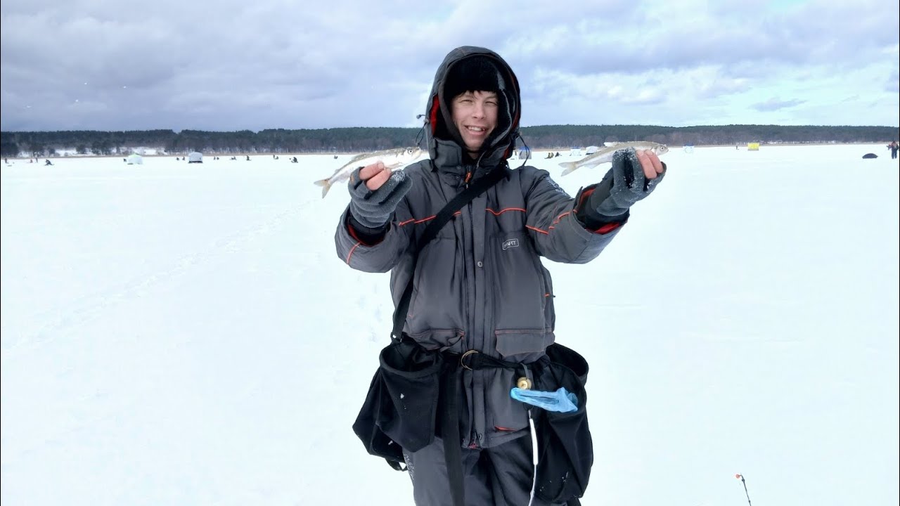 Stintų žvejyba Kuršmarėse: Pamokos pradedantiesiems ir sugrįžtantiems.