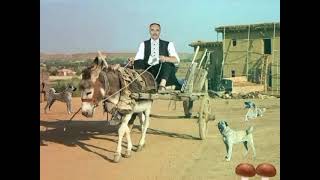 Suat Sayin - Arabacı.
