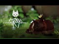 КОШАЧИЙ КИБЕРПАНК ОБЗОР ИГРЫ STRAY