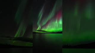 Aurora Borealis Over A Silent Lapland Lake  Stunning Northern Lights Above The Arctic Circle