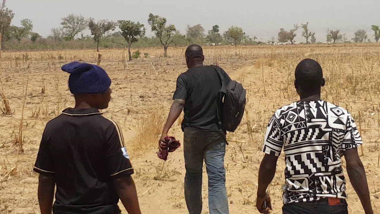 Farming Nigeria: Arable Land for Maize, Soyabean and Beans planting in