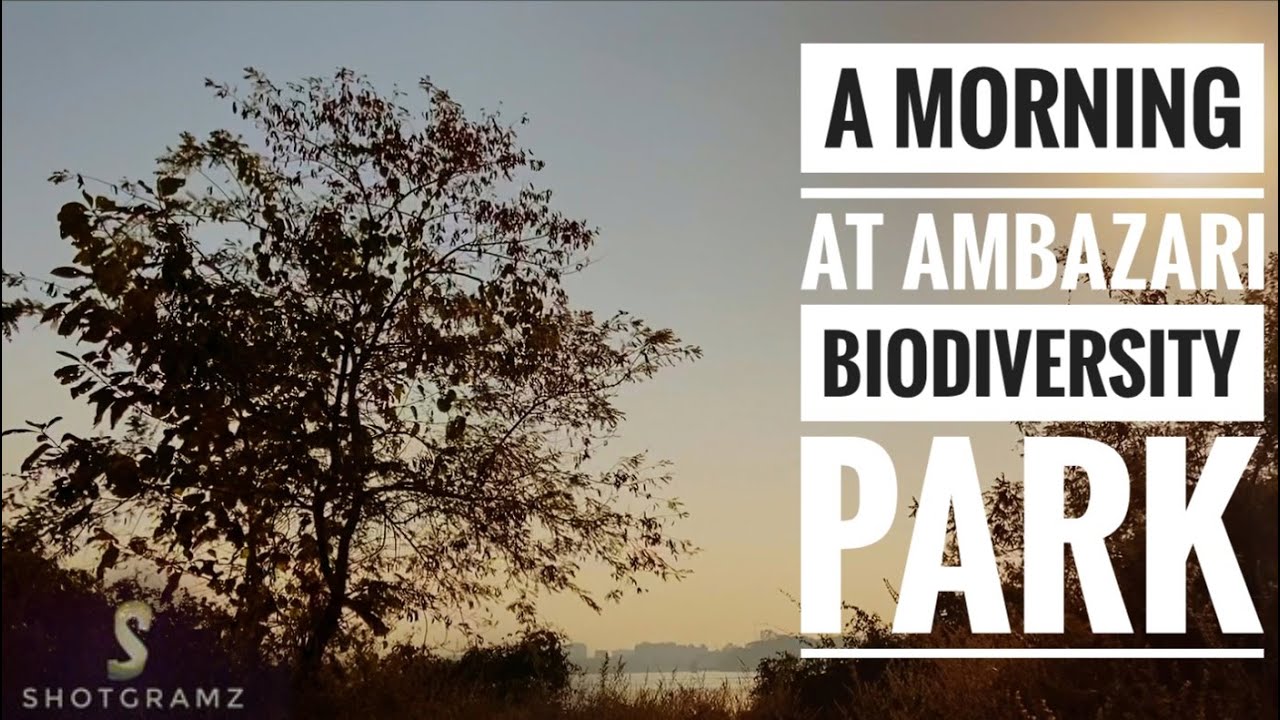 A MORNING AT AMBAZARI BIODIVERSITY PARK | NAGPUR | SHOTGRAMZ