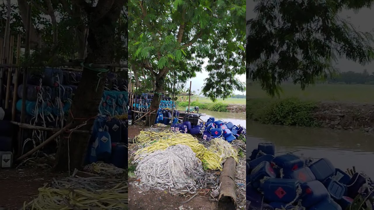 SUPPLIER LAUTAN JAYA SEAFOODInfo : 085716784886 