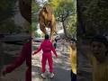 Thằng ranh con phát hiện có khủng long bạo chúa #shortsviral #shorts #funny #subscribe