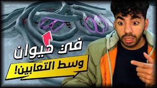 معركة اسماك القرش العظمى و الثعابين ضد الـ🤫😂  | تابز الحيوانات - BBS