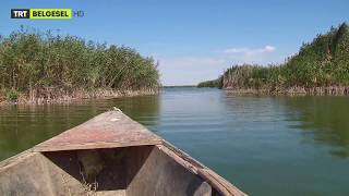 Eber Gölünden Ayrılanlar Bir Bir Geri Döndüler Resimi