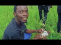 Sustainability in Action ,UNIVERSITY OF LIVINGSTONIA Environmental Management Students