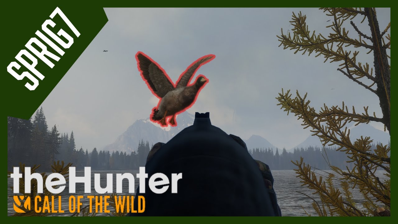 Duck Hunting on Layton Lakes! YouTube