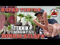 Cara membuat bonsai kelapa