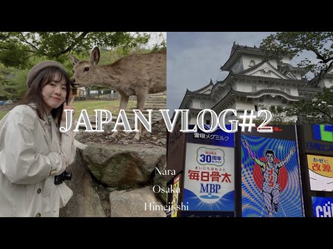 JAPAN VLOG#02🇯🇵 (一天排一個縣市的行程)在奈良被小鹿追🦌、第一次搭新幹線🚄、姬路城🏯|MandyWu