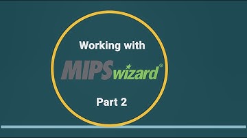 Working with MIPSwizard - Patient Registry Data Entry Options | Part 2