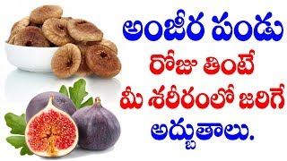 Watch ► fruit for no pregnancy || benefits of anjeer | dry fruits
health more indian recipes, ►subscribe : https://goo.gl/mpn9eb ...