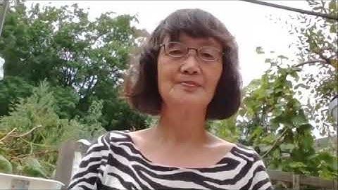 Project Chapter7: format and share your plan