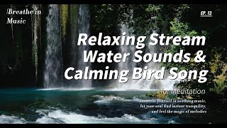 Relaxing Stream Water Sounds and Calming Bird Song for Meditation