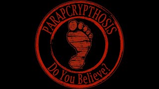 Parapcrypthosis - La Santa Muerte T shirt