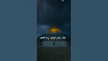 آيات من سورة الكرسي #قران_كريم #فلسطين حرة#القدس