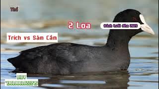 Tiếng Sâm cầm với trích ré file miễn phí tặng anh em đăng ký kênh