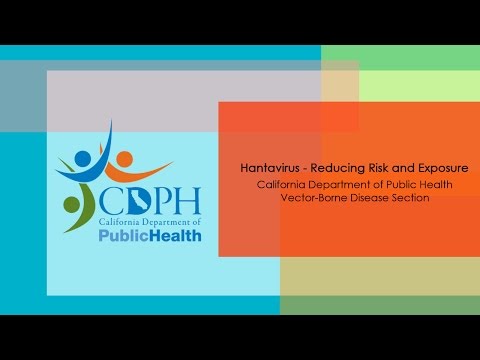 Hantavirus - Reducing Risk and Exposure