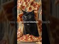 harry Potter dog cat #funny #funnycats #funnyshorts #funnydogs #funnycatsanddogs #harrypotter