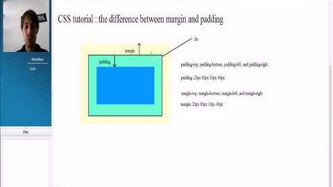 CSS : the difference between padding and margin