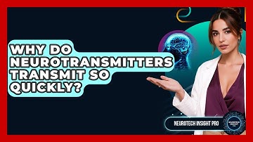 Why Do Neurotransmitters Transmit So Quickly? - Neurotech Insight Pro
