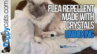 A Safe & Effective Flea Repellent Made With Crystals! ✨ Introducing Ohm's NoFleazPleaz! by Floppycats 😻 ☑️ 2,541 views 1 month ago 7 minutes, 28 seconds