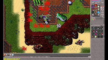 Tibia 64 RP HYDRA HUNT ON SECURA ! RLY AWESOME MOVIE !