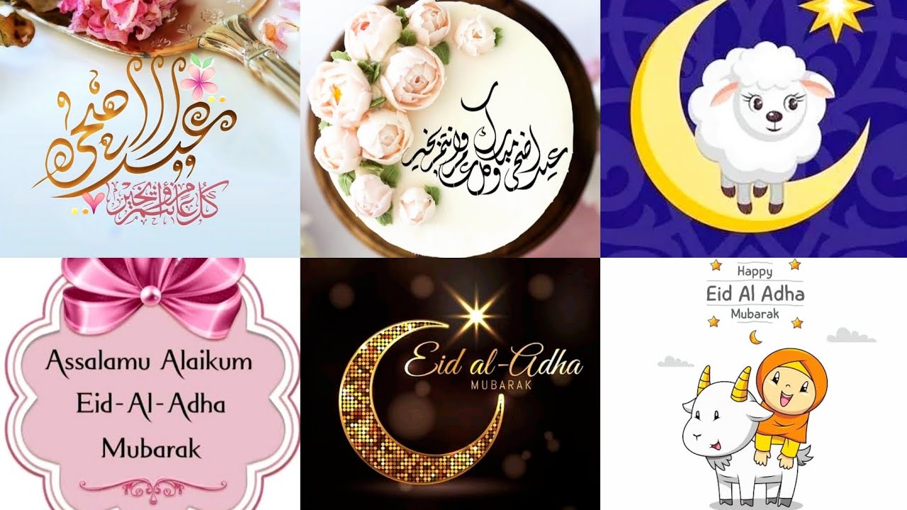 Eid-ul-Adha Mubarak dpz/ Bakra Eid Image 2023/ Eid-ul-Adha WhatsApp dp Sumik Collection