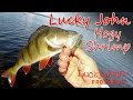 Lucky John Hogy Shrimp
