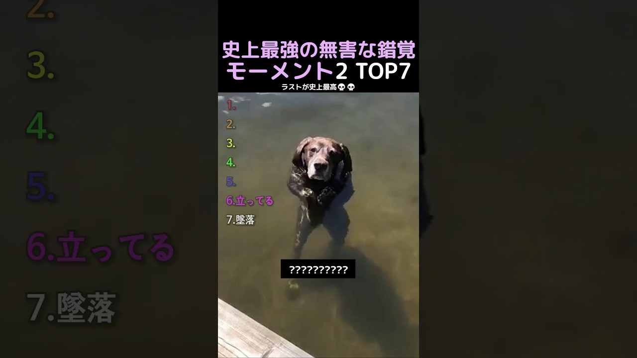 史上最強の無害な錯覚モーメント2弾TOP6