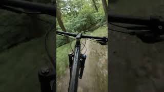 Lesní pěšinka, ale sviští to pěkně 😉 #enduro #mtb #qayron #mountainbiking