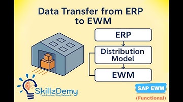 SAP EWM Integration with ERP | Data Distribution Model, Interfaces & Storage Location Mapping
