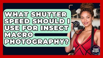 What Shutter Speed Should I Use For Insect Macro Photography? - Image Review Studio