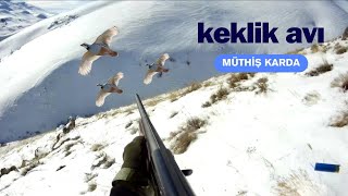 KARDA KEKLİK AVI. diz boyu karda bile keklikleri zirvelerde bulduk. #partridgehunting #keklikavı