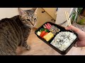 独身だし外出る予定もないけどグルグル生姜焼き弁当作るよ〜