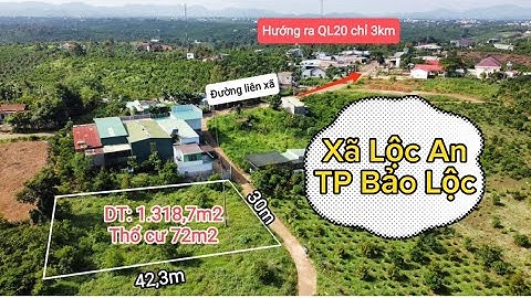 1,3 sào đất đẹp giá rẻ xã Lộc An, Bảo Lộc/Zalo: 0349663521#datbaoloc #bdsbaoloc #batdongsanbaoloc