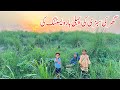 Ghar ki sabzi ki pehli harvesting ki i organic farming by village woman i family vlogs