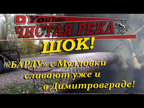 SOS ! "МУЛЛОВСКАЯ "БАРДА" УЖЕ В ДИМИТРОВГРАДЕ"