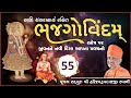 Bhaj govindam part 55       pu hariswarupdasji swami