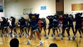 IRS at Troy Drill Competition.AVI