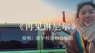 吉他弹唱《再见琳尼尔》