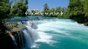 إن الابرار لفى نعيم سورة المطففين
